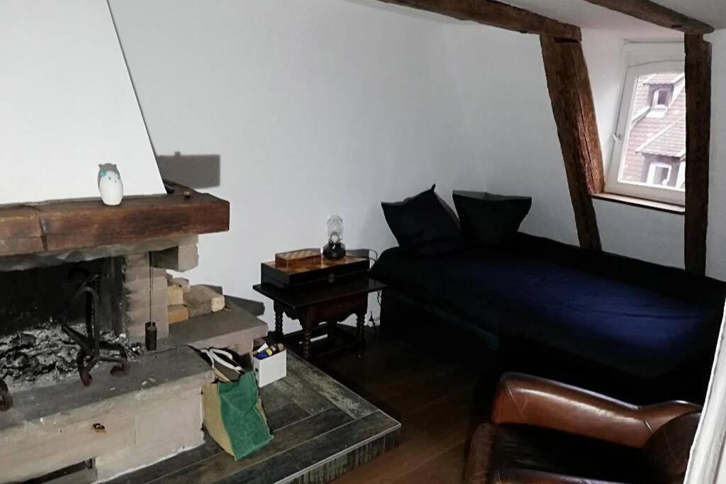 Apartmán La Chaumiere Štrasburk Exteriér fotografie